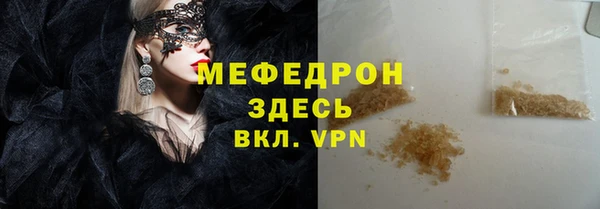 индика Долгопрудный