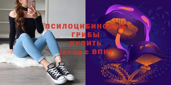соль ск Алексин