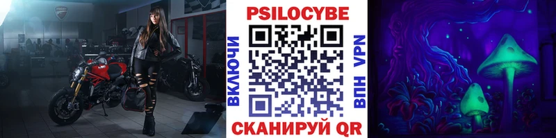 Галлюциногенные грибы Psilocybine cubensis  Малоархангельск 